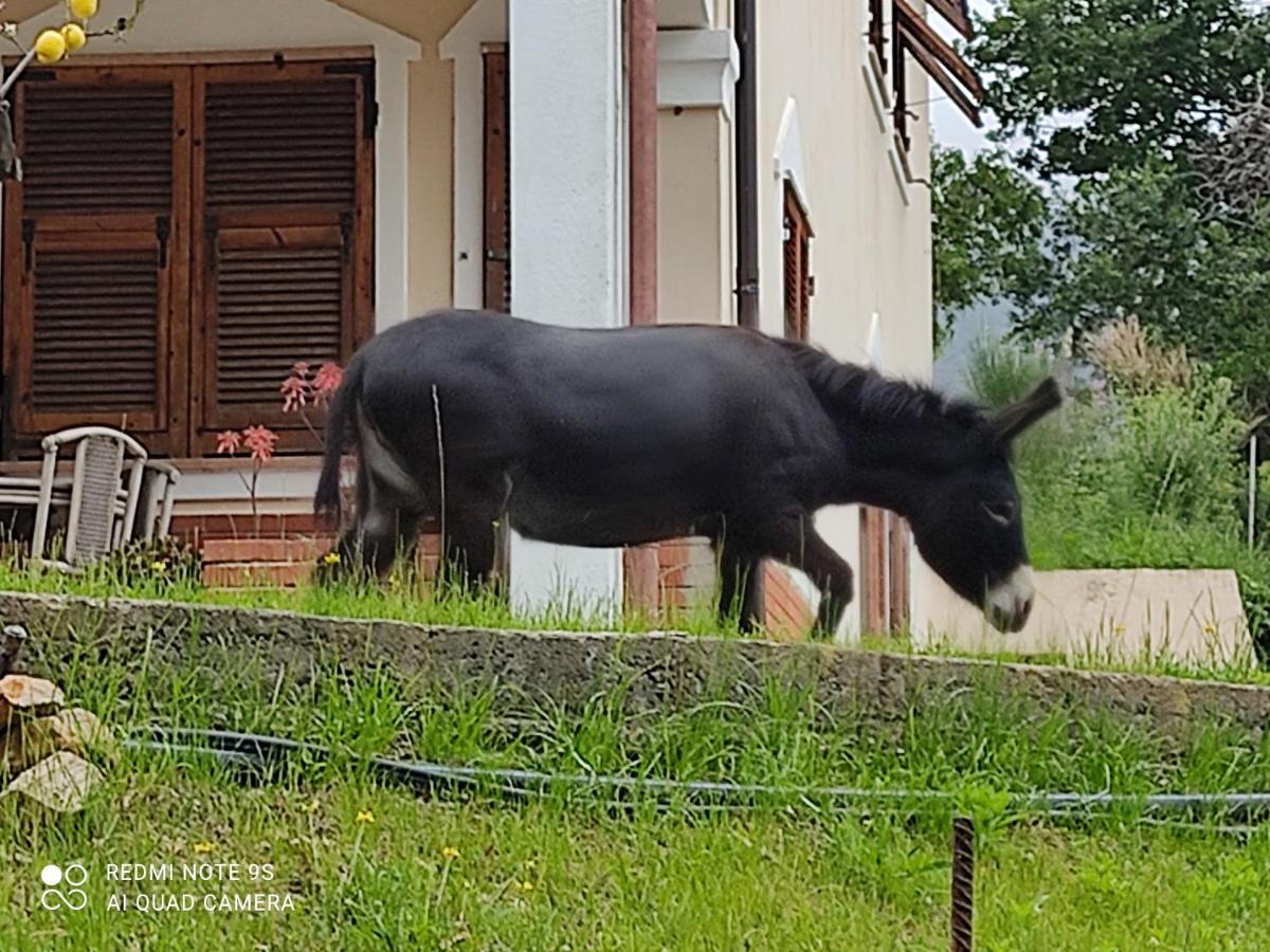 La Gallina Nel Castello Citr Oo9002-Beb Oo11 Albenga Extérieur photo