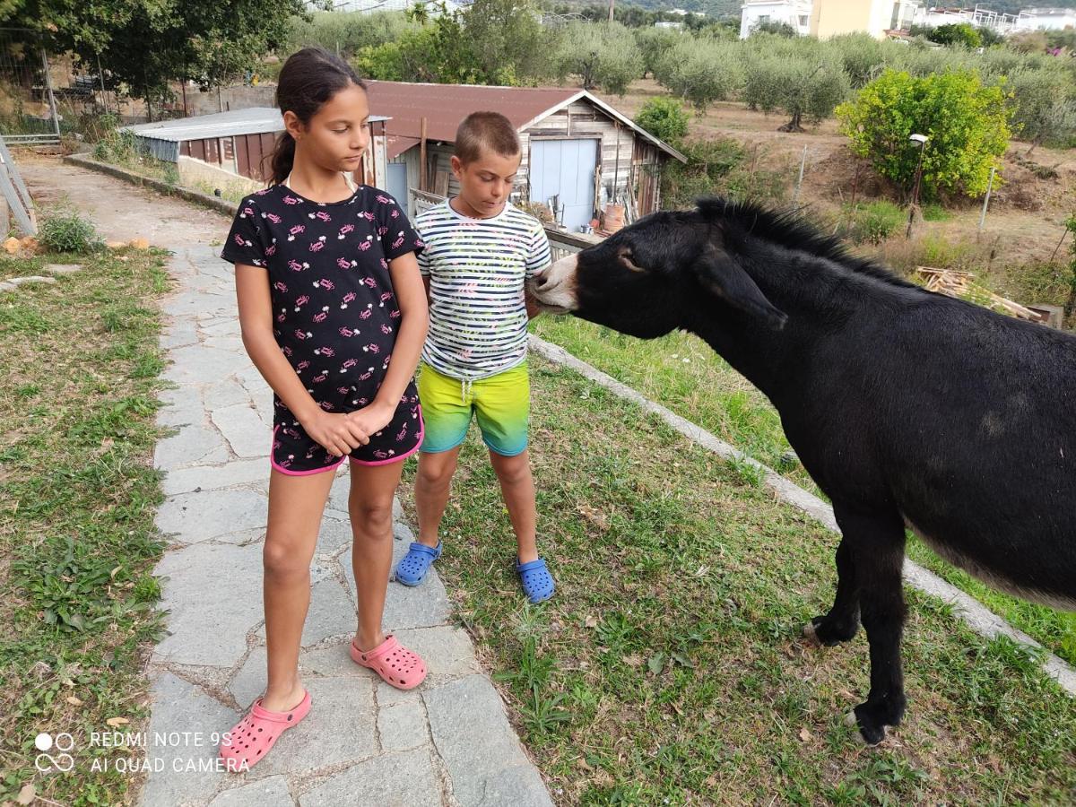 La Gallina Nel Castello Citr Oo9002-Beb Oo11 Albenga Extérieur photo